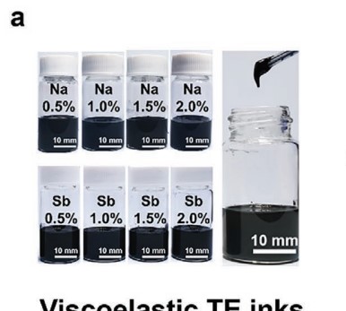 Functional Material Inks
